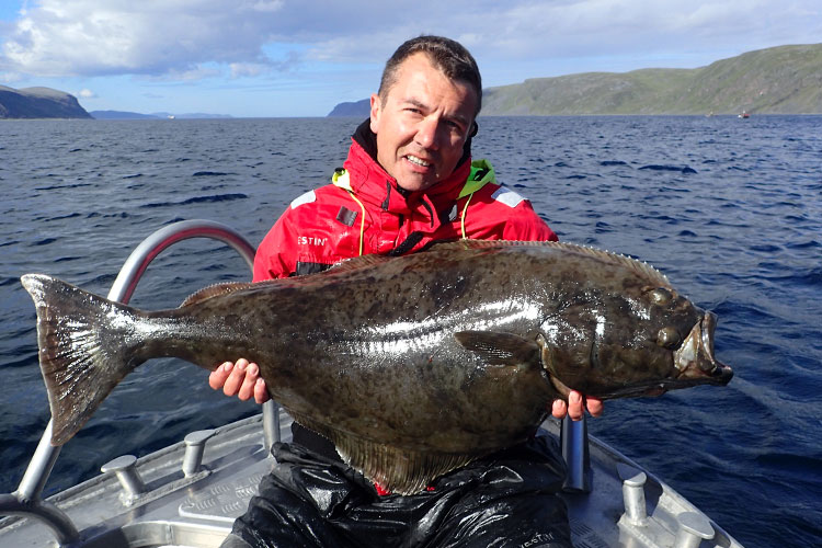 Head Norway guide releasing a halibut Hosted Norway Sea Fishing