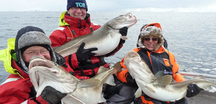 Hosted Norway Sea Fishing