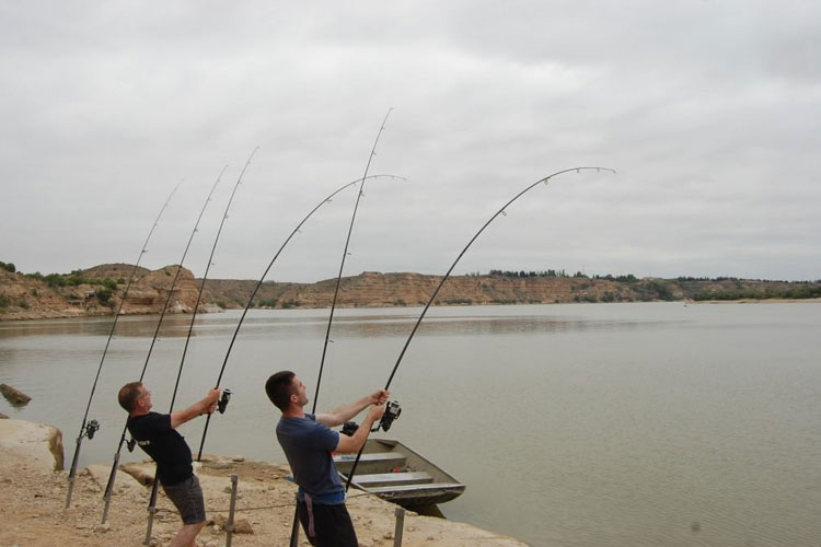 Two friends fishing on the Ebro in Cat & Carp fishing report