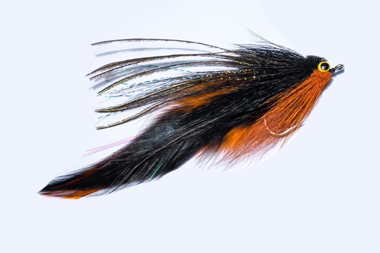 Fly Patterns for Golden Dorado Fishing