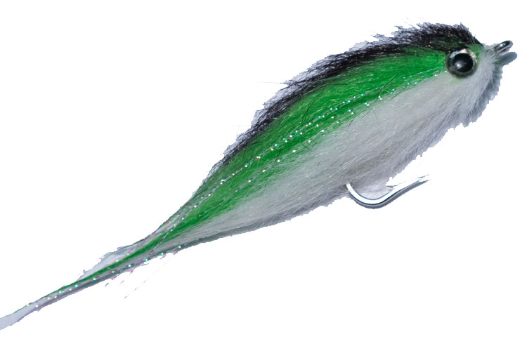 Green and White Craft Minnow fly Pattern