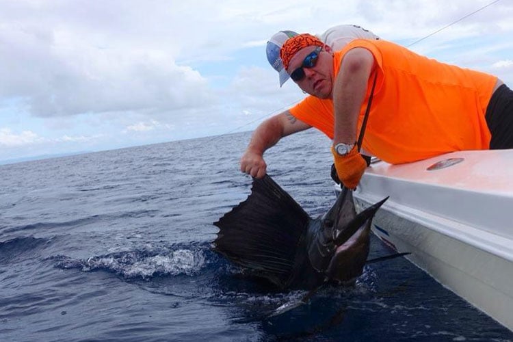 another big Sailfish caught for our Costa Rica January 2016 Fishing Report