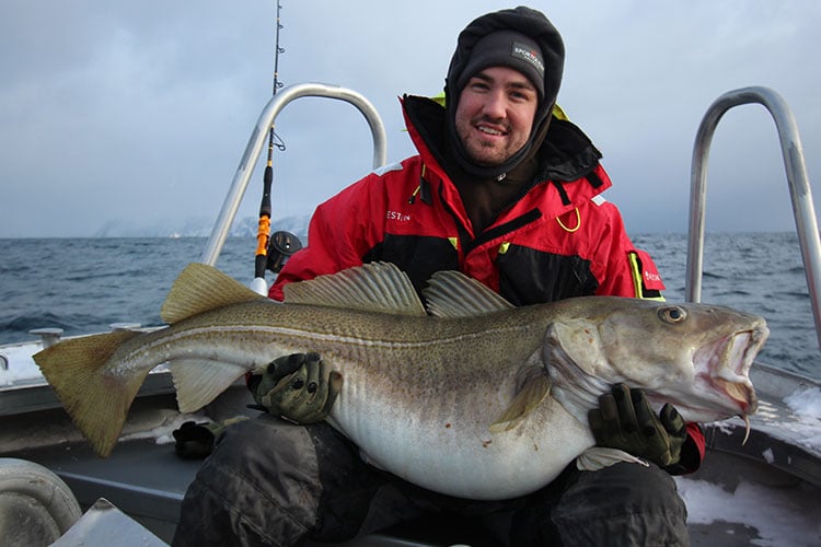 Biggest Ever Cod Caught By British Angler