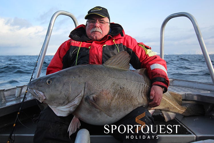 Biggest Ever Cod Caught By British Angler