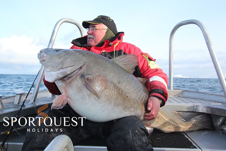 Biggest Ever Cod Caught By British Angler