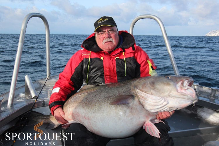 Biggest Ever Cod Caught By British Angler