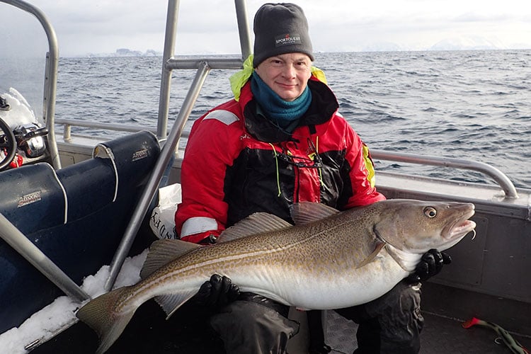 Biggest Ever Cod Caught By British Angler