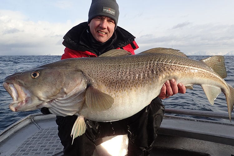 Biggest Ever Cod Caught By British Angler