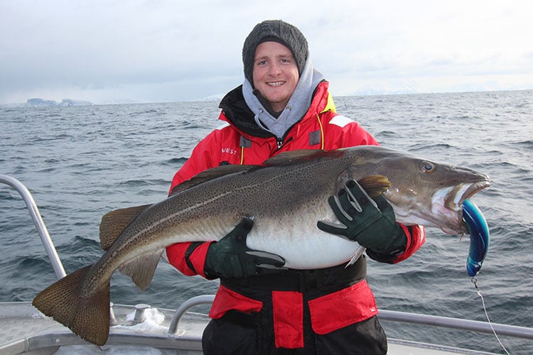 Biggest Ever Cod Caught By British Angler