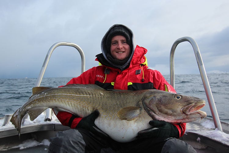 Biggest Ever Cod Caught By British Angler