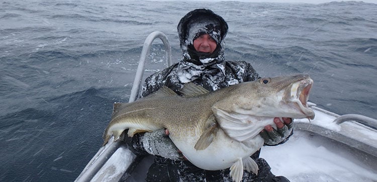 BONAVENTURE & SALMON LODGE