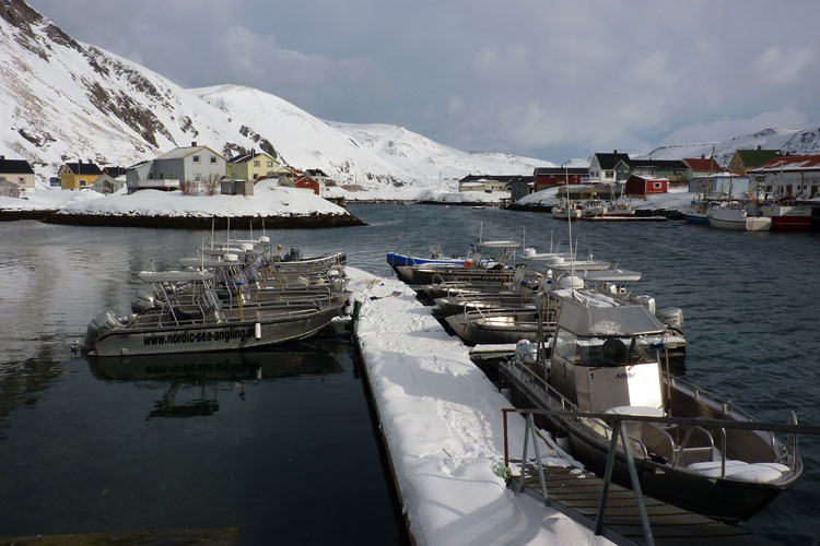 Hosted Cod Soroya Norway Fishing Report