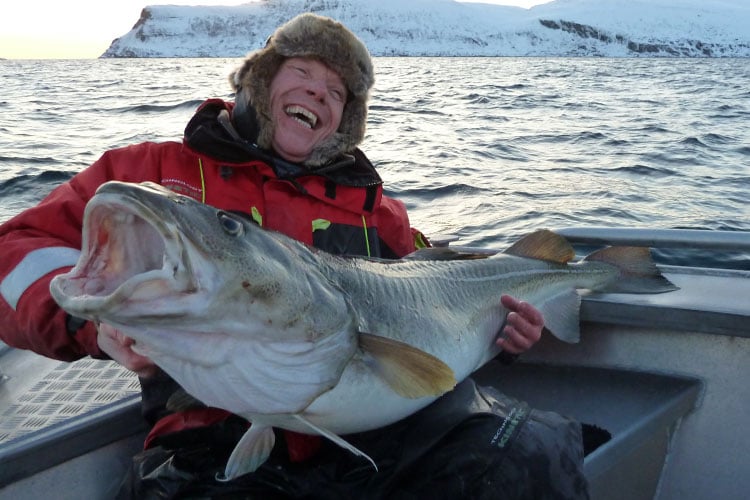 Hosted Cod Soroya Norway Fishing Report