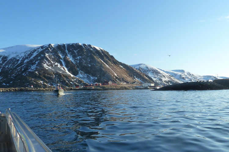 Hosted Cod Soroya Norway Fishing Report