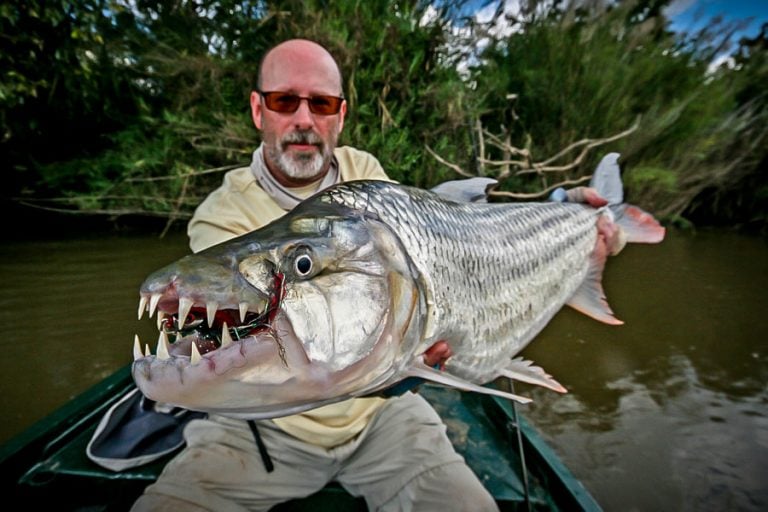 Fly Fishing for Monster Tigerfish