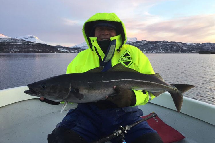 Northern Norway Spring Sea Fishing Report