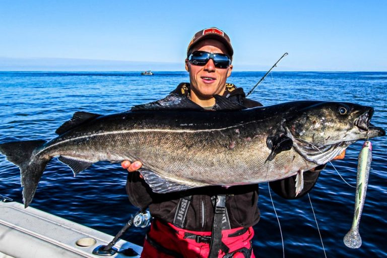 Halibut & Coalfish Fishing Norway