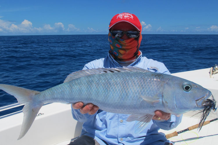 Farquhar Fishing Report Seychelles 23 to 30 March