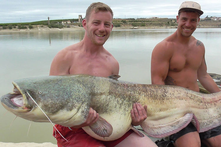 Catfish Frenzy River Ebro Fishing Report