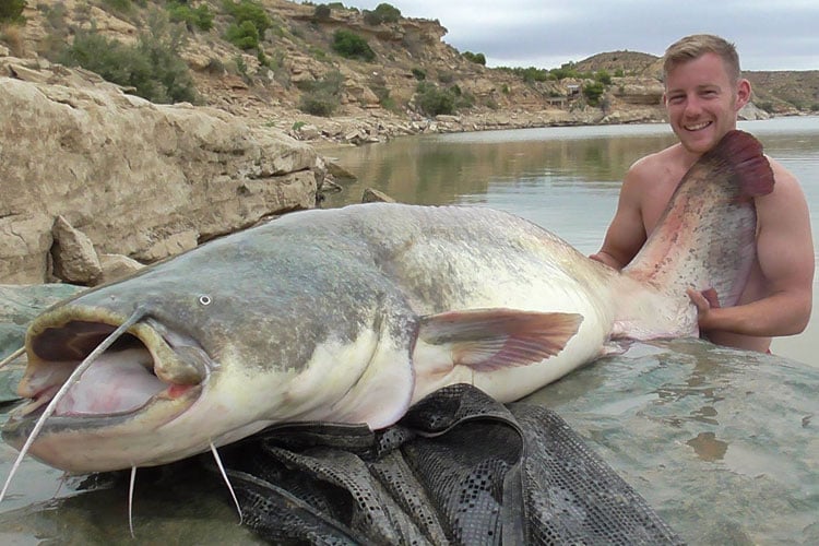 Catfish Frenzy River Ebro Fishing Report
