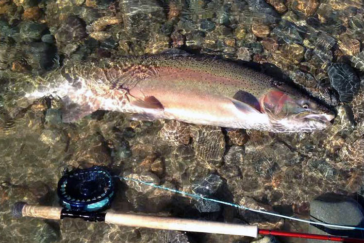Fishing Report Kalum River Lodge BC May