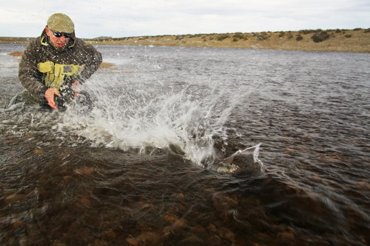 Hosted Sea Trout Fishing Las Buitreras Argentina