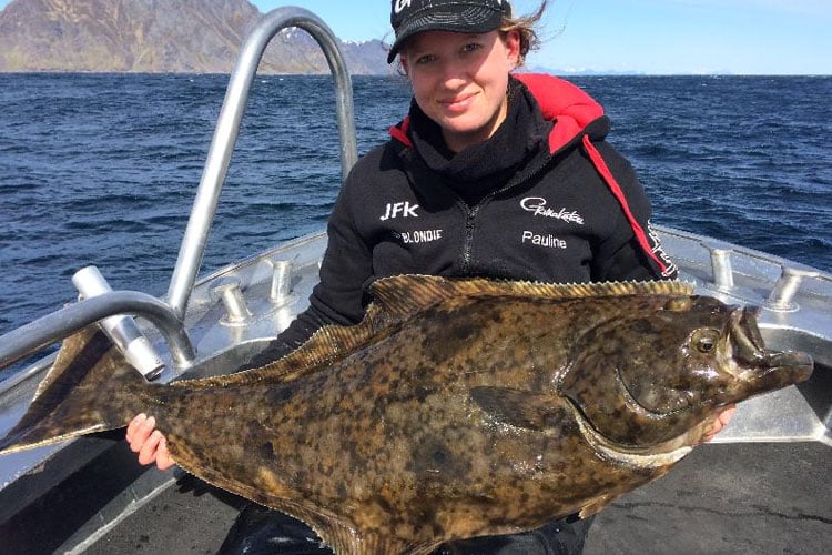 Full Sea Fishing Report From North Norway