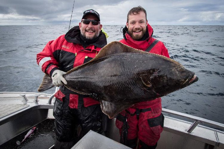 Full Sea Fishing Report From North Norway