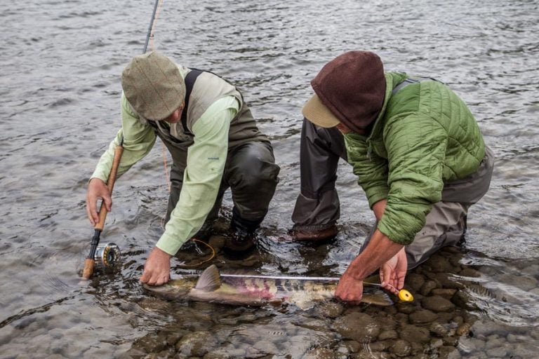 Steelhead Fly Fishing at Kalum River Lodge