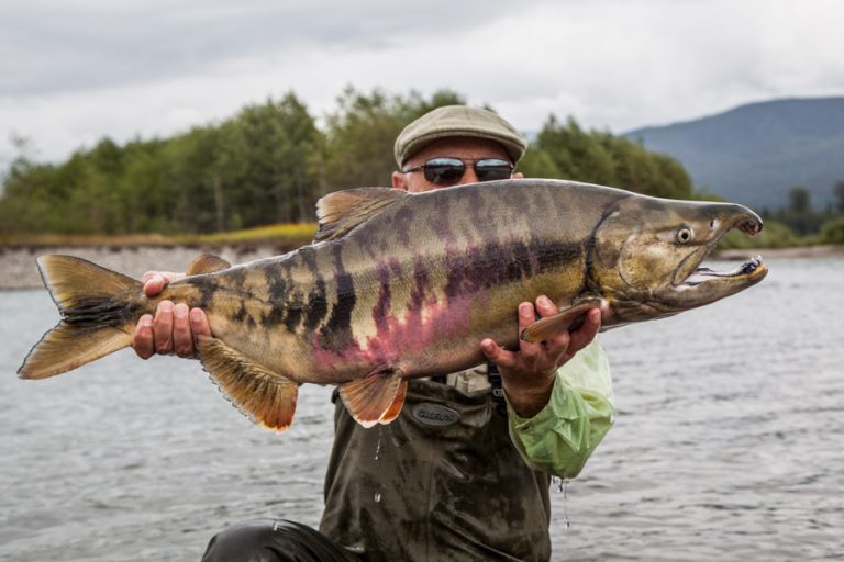 Steelhead Fly Fishing