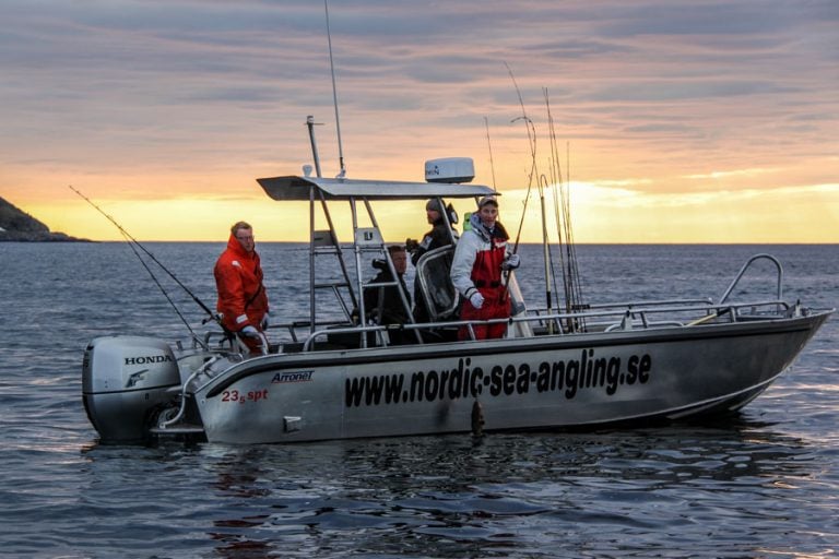 Hosted Halibut & Plaice Fishing