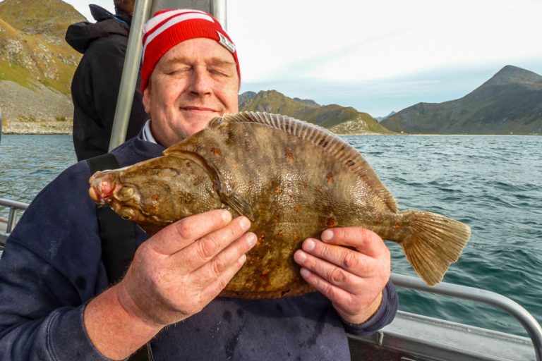 Halibut & Plaice Fishing Lofoten