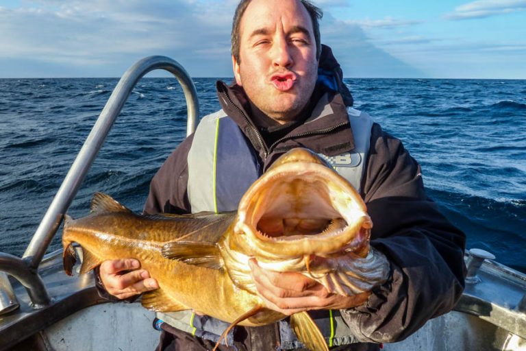 Halibut & Plaice Fishing Lofoten