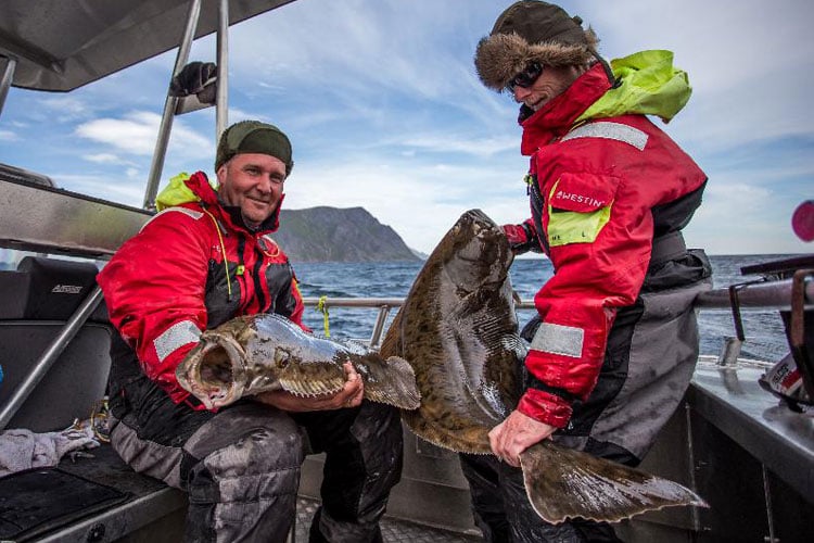 Unbelievable Day's Sea Fishing North Norway
