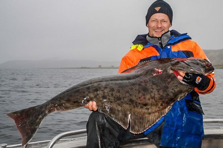 Fishing Lofoten North Norway