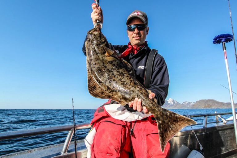 Fishing Lofoten North Norway