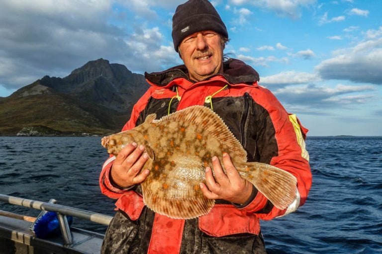 Fishing Lofoten North Norway