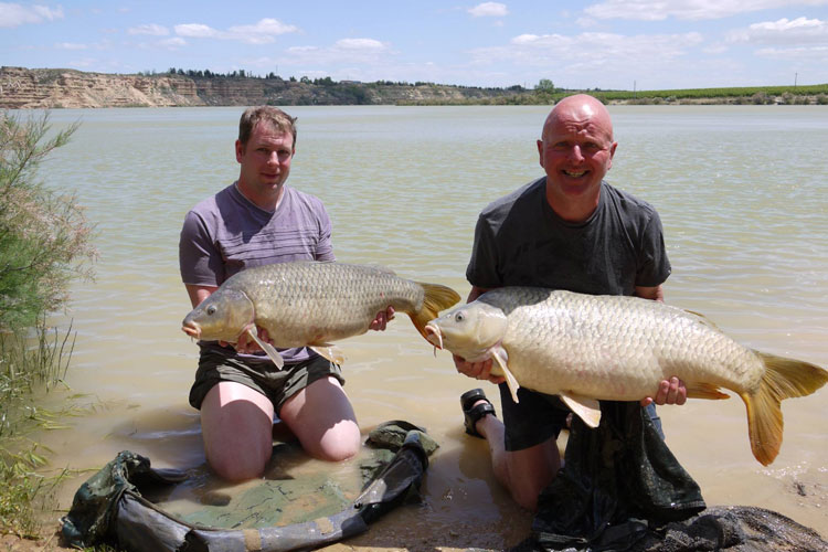 River Ebro Cat & Carp Fishing Report June