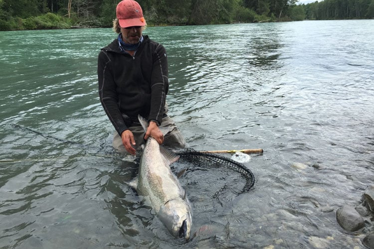 hosted-fly-fishing-canada-kalum-river-lodge-26-07-2016-2