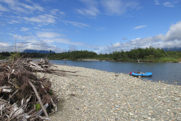 hosted-fly-fishing-canada-kalum-river-lodge-26-07-2016-4