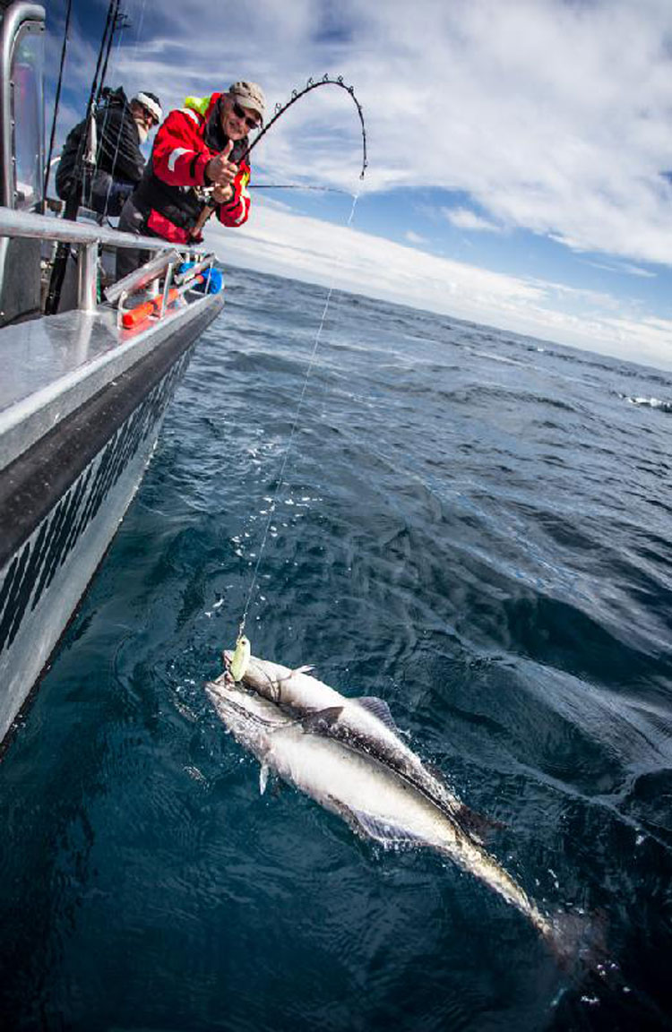 Norway Popper Fishing Part 2 Report