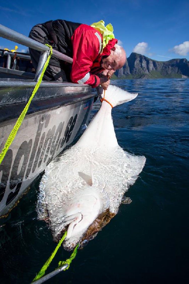 Lofoten Islands Best Destination Norway Report