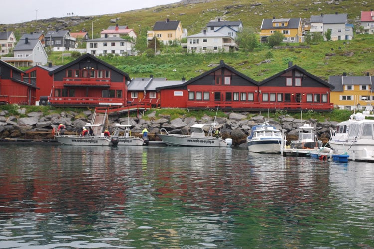 Havoysund Best Halibut Destination Norway?
