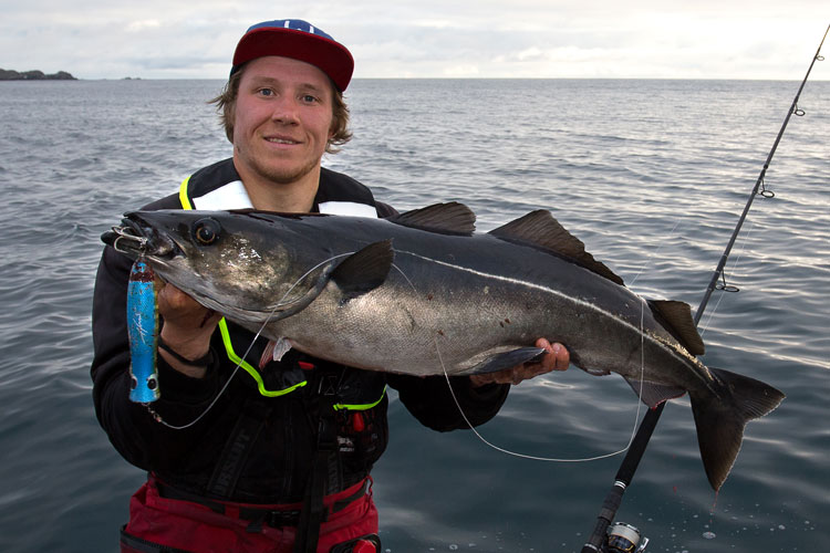 Popper Fishing Around The Lofoten Islands Norway | Sportquest
