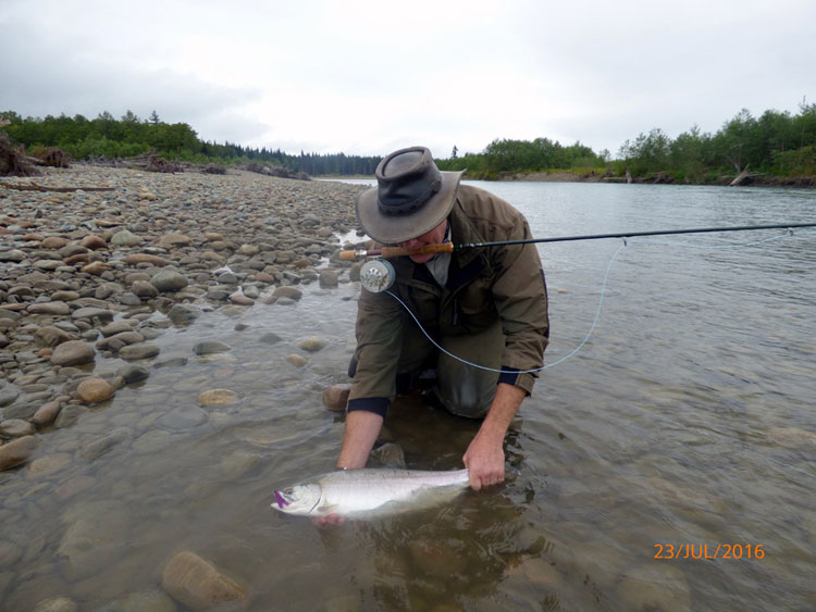 Kalum River Lodge Fishing Report 29th July