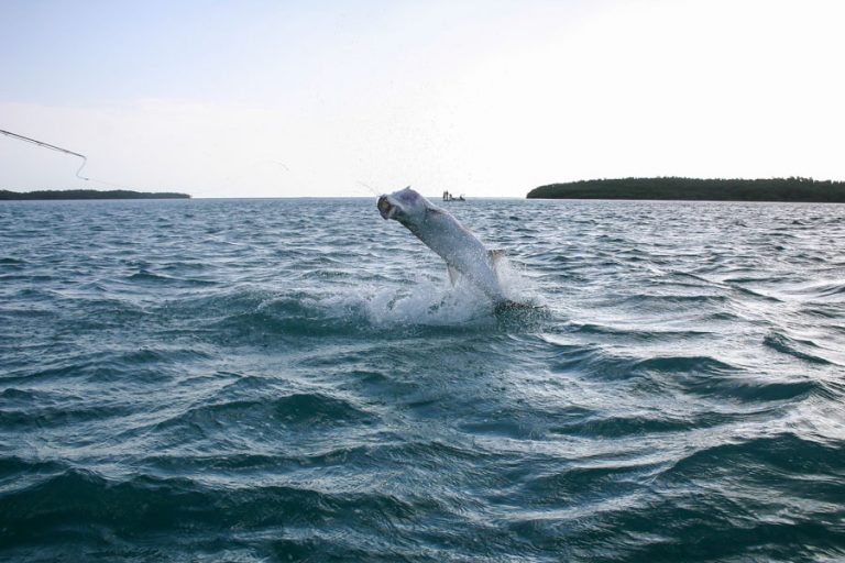 Cayo Cruz Cuba