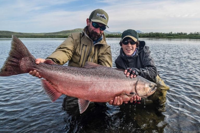 a nice coloured king salmon fromGoodnews River Alaska