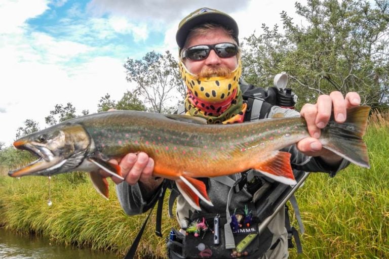 Nice dolly varden in spawning colours Goodnews River Alaska