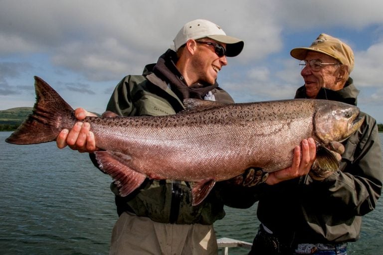 king salmon at Goodnews River Alaska