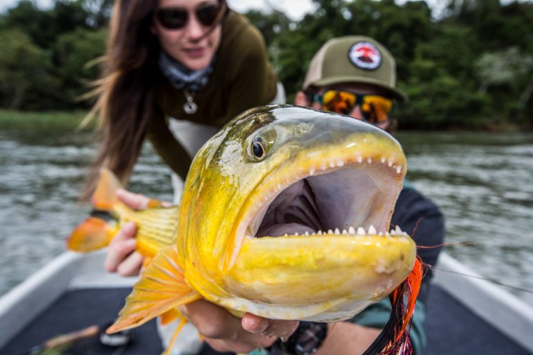 Rio Parana Lodge Argentina